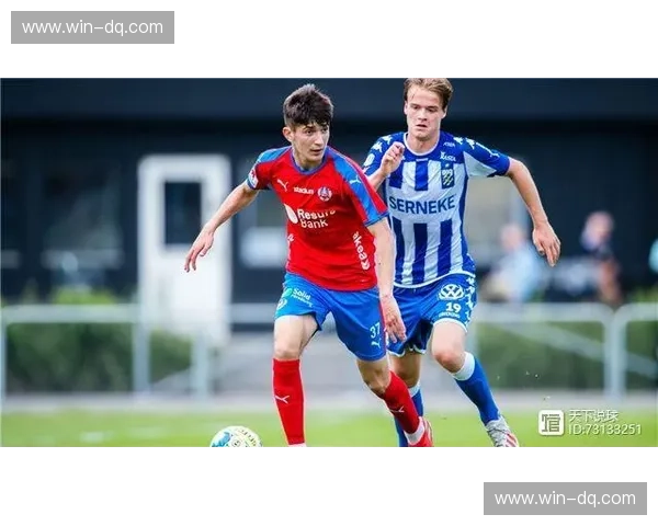 哈夫纳夫vs埃尔夫：一场跨越星辰与森林的史诗对决